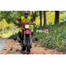 EP Hobbies LOSI PROMOTO-MX Simulated motorcycle headlights FR-S